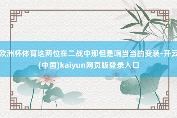 欧洲杯体育这两位在二战中那但是响当当的变装-开云(中国)kaiyun网页版登录入口